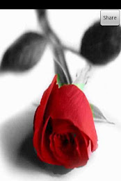 Sketch Photos poster 1