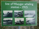 Waaygat Whaling station 