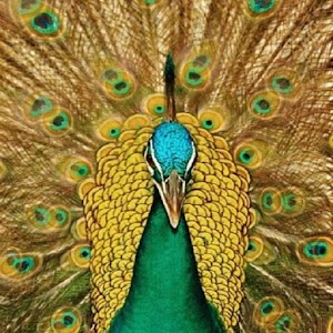 Peacock Live Wallpaper.apk 26