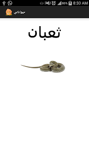 Lastest My Animals APK for Android