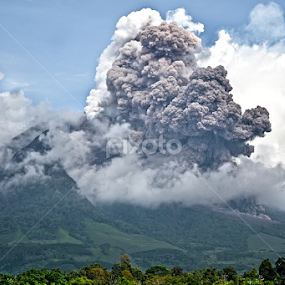 can't paused? by Kriswanto Ginting's - News & Events Disasters