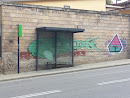 Green Whale Graffiti