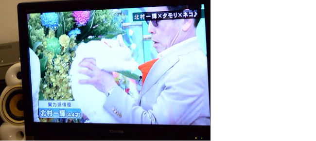 月見と玉之丞さま つーちゃんおる