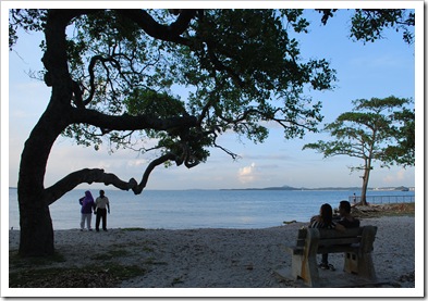 Changi Beach 101