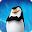 Penguins Surveillance App Download on Windows