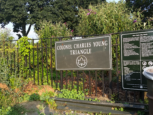 Charles Young Triangle