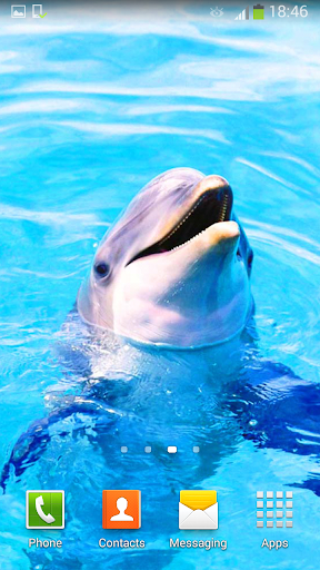 免費下載個人化APP|Dolphins Live Wallpaper app開箱文|APP開箱王