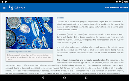 Free Cell Cycle APK for Android