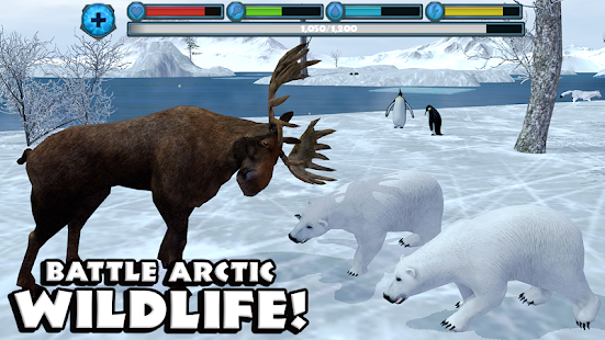  Polar Bear Simulator  