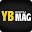 YB MAG Download on Windows