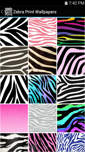 Zebra Print Wallpapers
