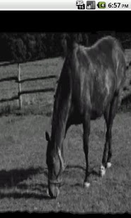 download 3D Camera Pro free