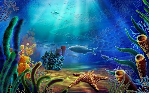 Underwater Sea Life Wallpaper