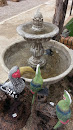 Toucan Fountain 