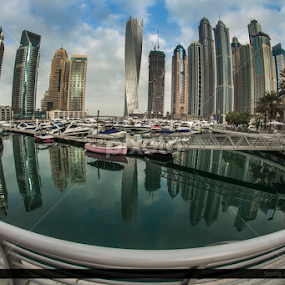 Morning Feel by Scott Lorenzo - City,  Street & Park Skylines