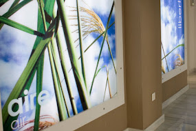 Image-4