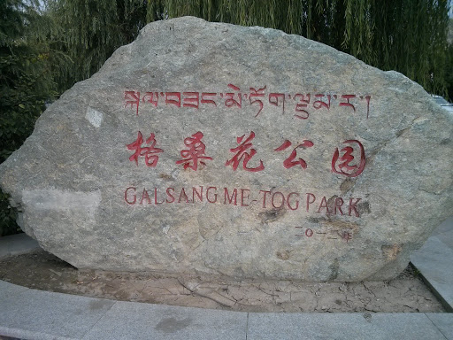 格桑花公园