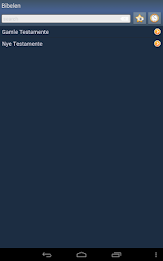 Danish Holy Bible poster 11