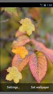 Lastest Autumn live wallpaper APK for PC