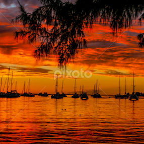 Anegada by Richard Beckmann - Landscapes Sunsets & Sunrises