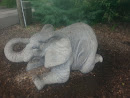 Baby Elephant  Statue