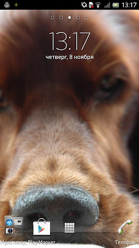 Doggy style Live Wallpaper