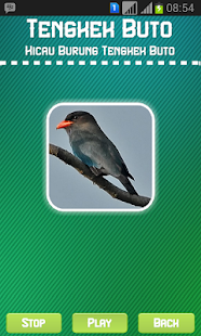 Download Oriental Dollarbird APK