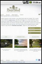 Charleston SC poster 4