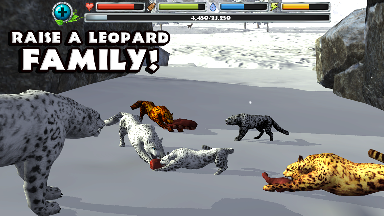 Snow leopard games Snow leopard games