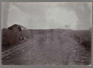 Spoor langs suikerriet