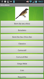 little cage crack iron poster 2