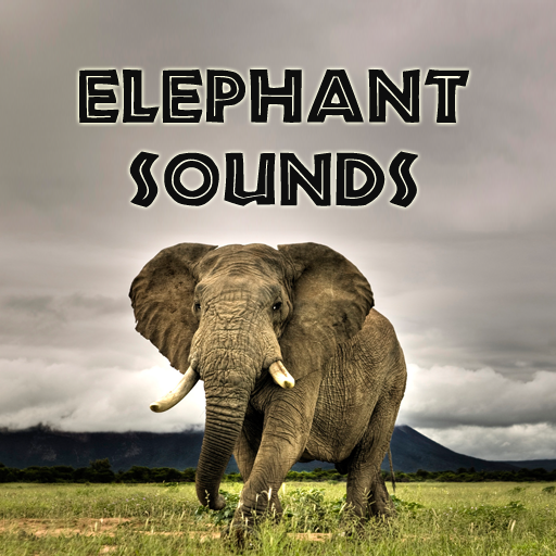 Elephant Sounds
