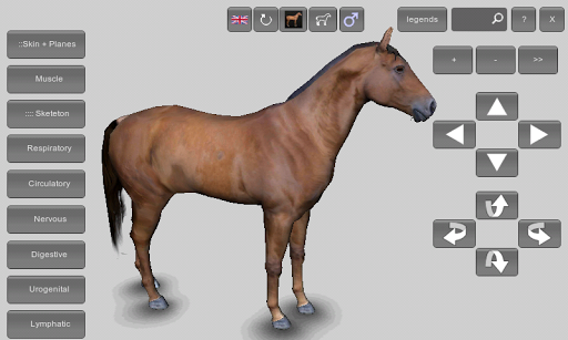 3D Horse Anatomy Software