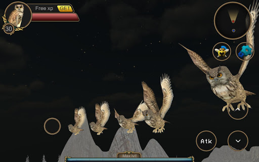 免費下載模擬APP|Owl Bird Simulator app開箱文|APP開箱王