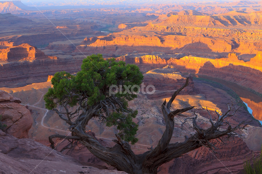 Sunrise over Dead Horse Point by Flavio Mini - Landscapes Deserts