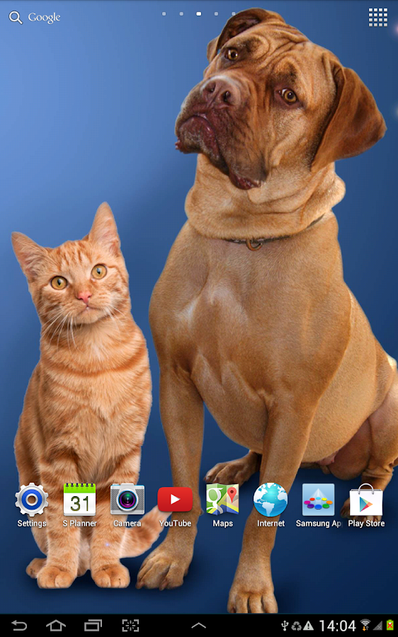 Cat Live Wallpaper - Android Apps on Google Play
