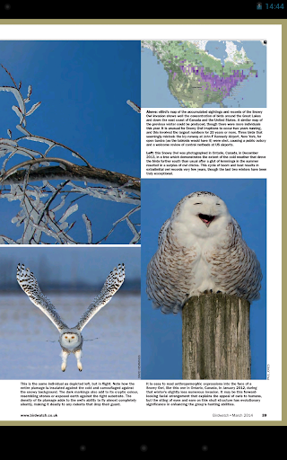 【免費新聞App】Birdwatch Magazine-APP點子