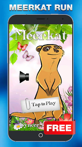 Meerkat or Suricate