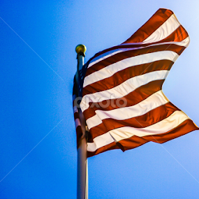 Memorial Day by Angelo Perrino - Public Holidays July 4th