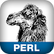 Perl Pocket Reference