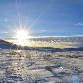 Canada! by Selah Madland - Landscapes Prairies, Meadows & Fields