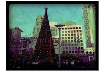 ���� ���������������