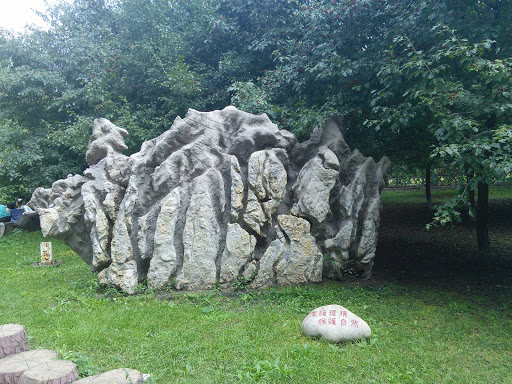 太湖石（植物园生肖广场）