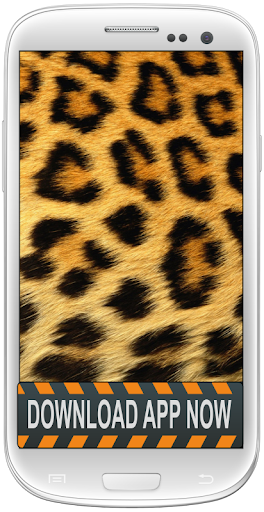 Leopard Print Wallpapers