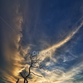 Spiritual by KIN WAH WONG - Landscapes Cloud Formations
