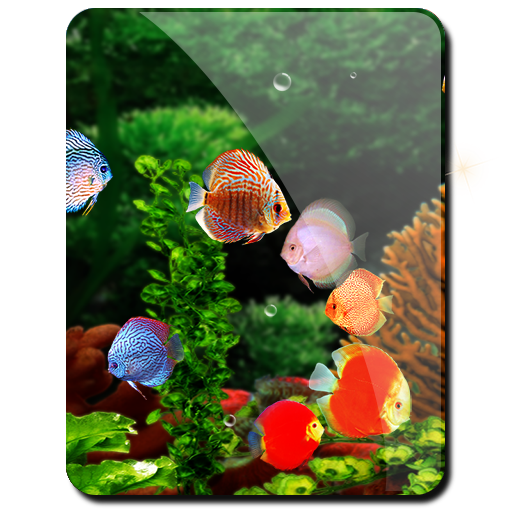 Fish Aquarium HD LWP Discus 個人化 App LOGO-APP開箱王