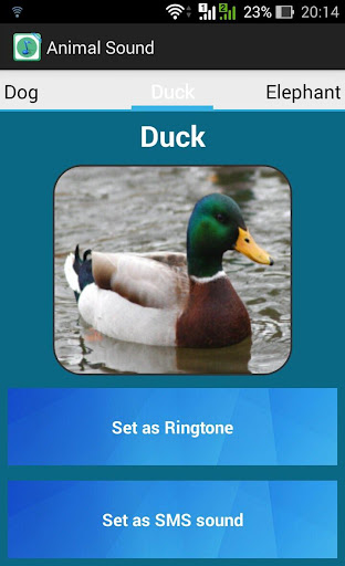 免費下載工具APP|Animal Sounds Ringtones Free app開箱文|APP開箱王