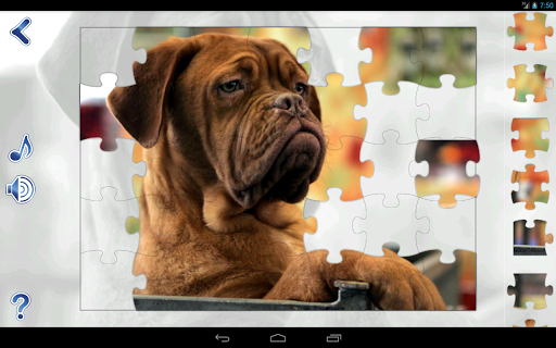 【免費解謎App】Jigsaw Puzzles Dogs-APP點子