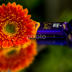 FLOWER AND CHOCOLATE  by Raj Nandi - Flowers Single Flower