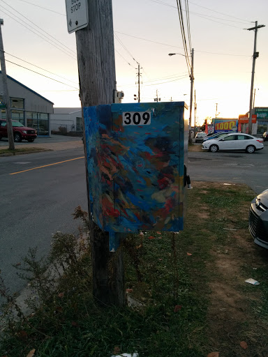 Abstract Fish Painted Box 309